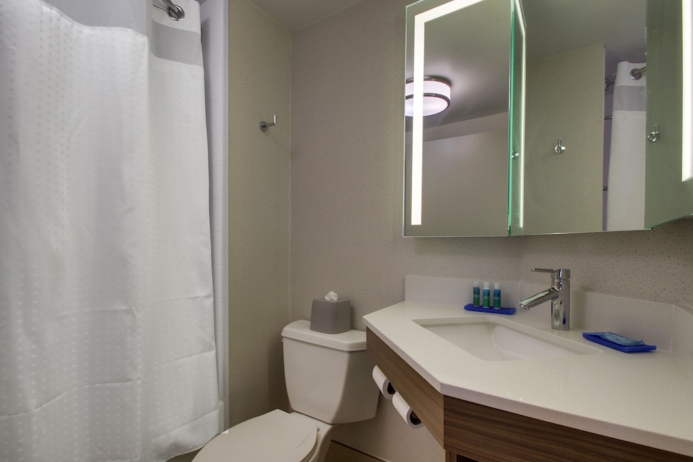Standard Room, 1 King Bed, Accessible (Communications, Accessible Tub) - Photo 4