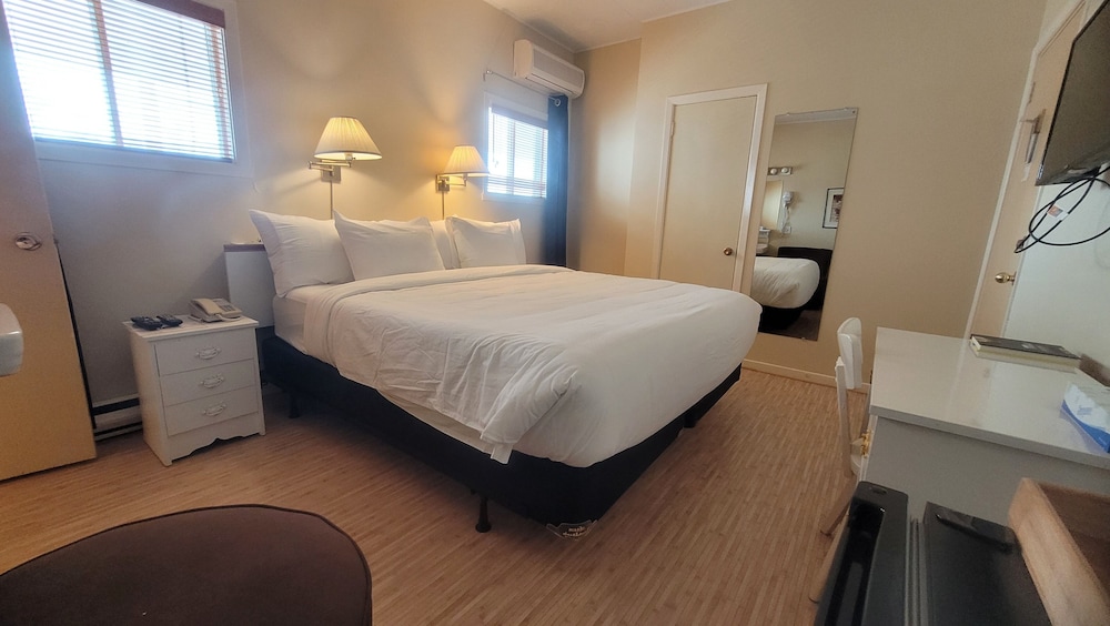 Economy Room, 1 King Bed photo 3