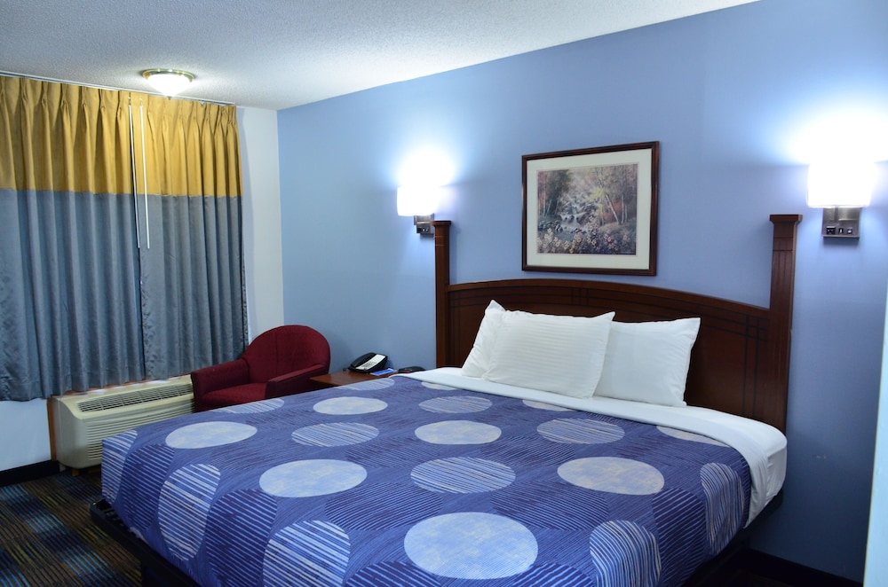Room, 1 King Bed, Non Smoking
