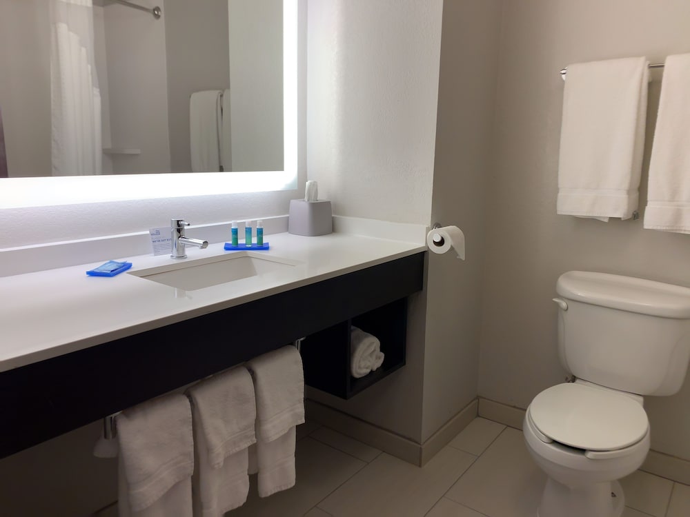 Suite, 1 Bedroom, Jetted Tub - Photo 6
