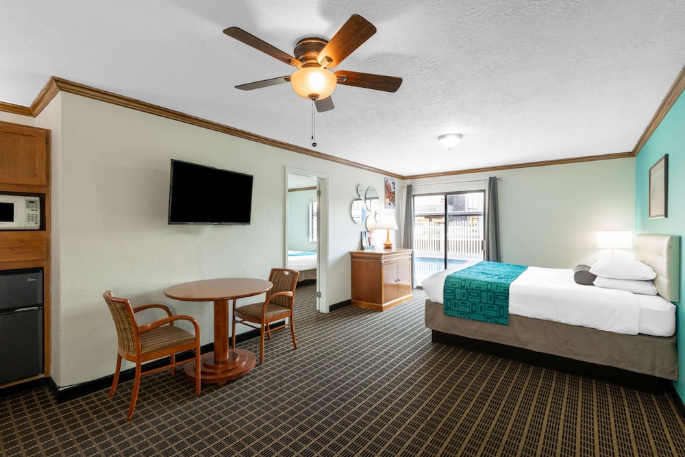 Suite, 1 Bedroom, Non Smoking - Photo 1