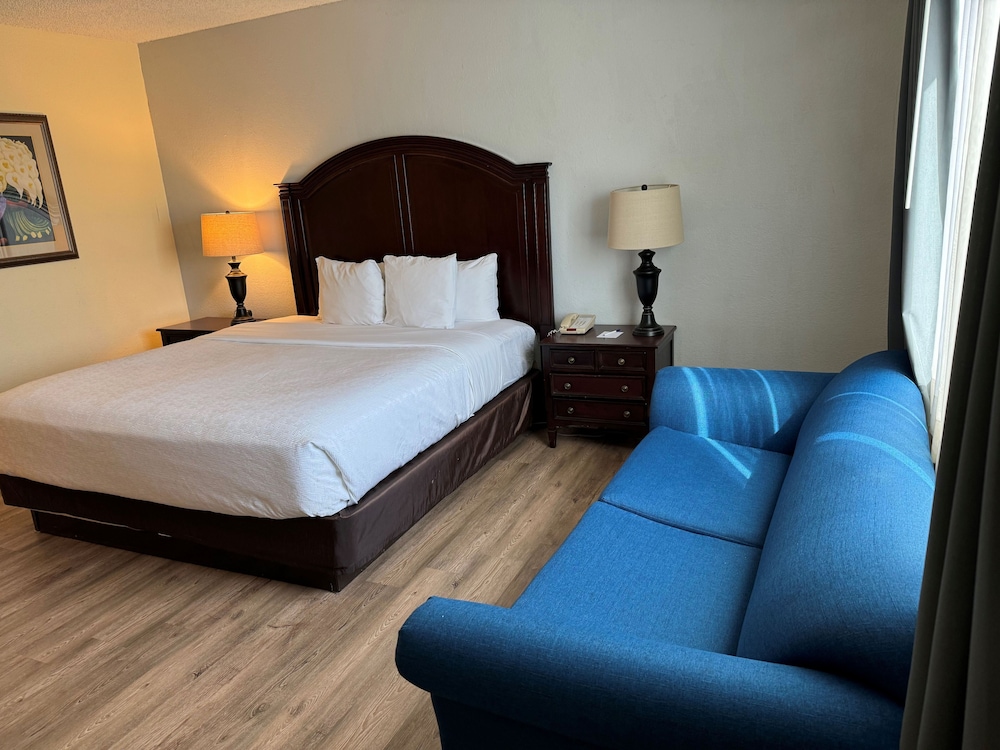 Single Room, Accessible photo 3