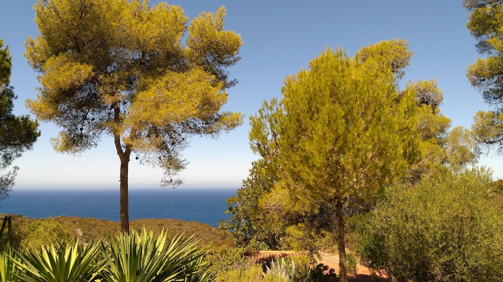 Quadruple Room, Sea View photo 2