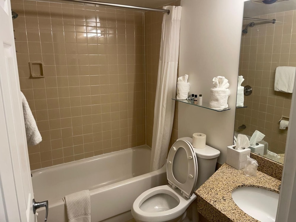 Suite, 1 King Bed - Photo 11