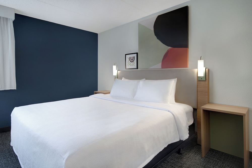 Room, 1 King Bed, Accessible (Roll-In Shower) - Photo 9