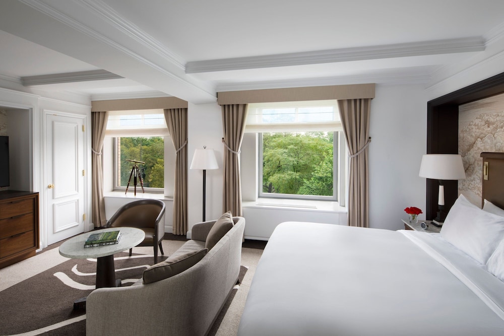 Club King Room with One King Bed