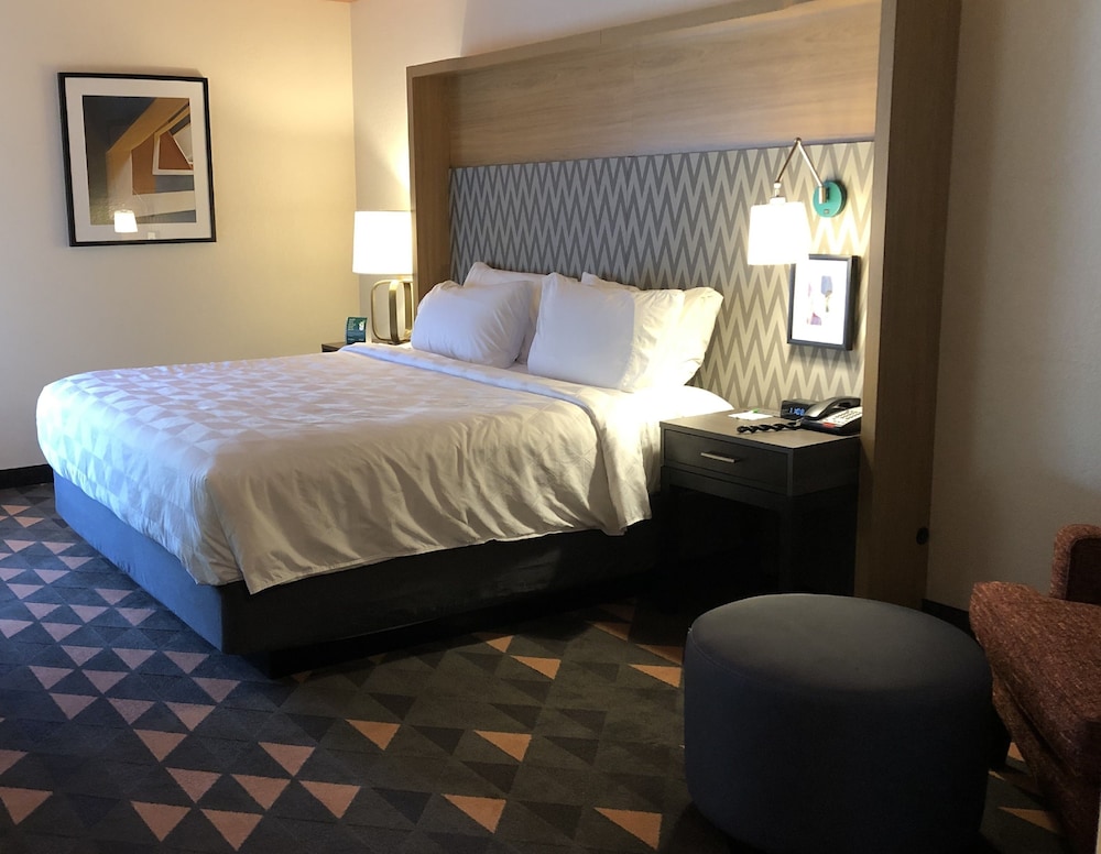 Premium Room, 1 King Bed, Accessible (Communications Accessible) - Photo 1