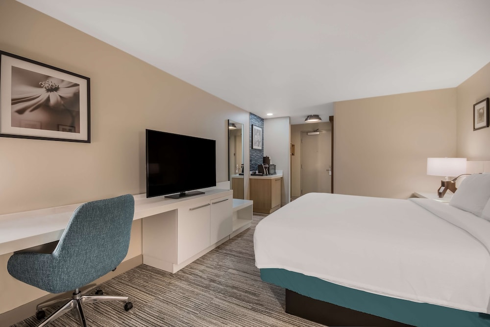 Room, 1 King Bed, Accessible (Mobility & Hearing, Roll-In Shower) - Photo 1