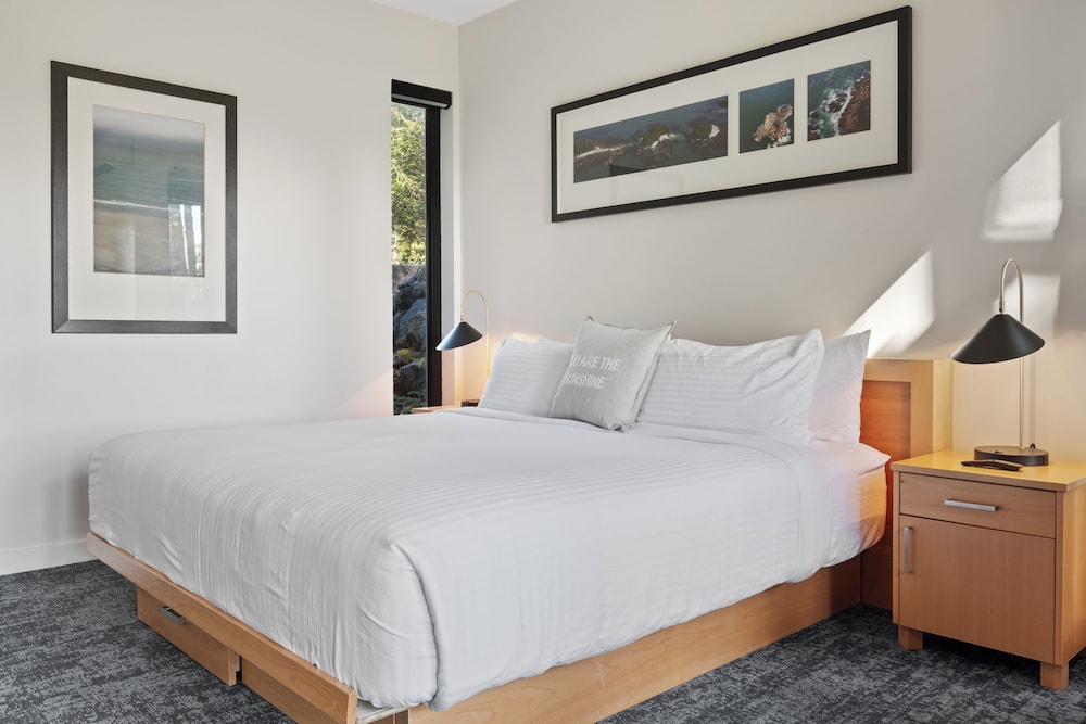 1 Bedroom Rainforest View photo 2