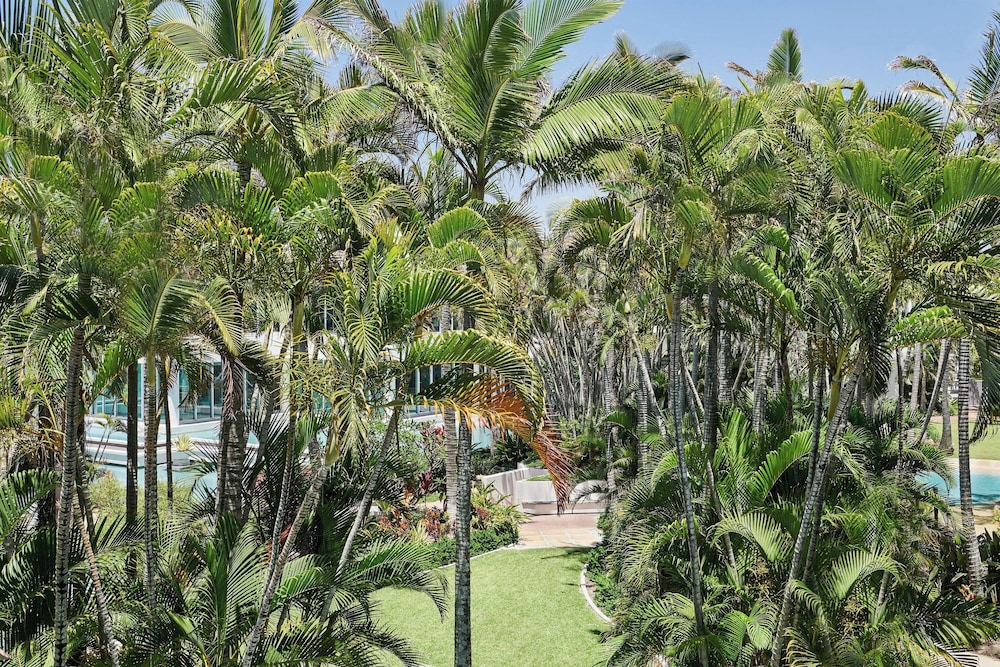 Room, 1 King Bed, Resort View - Photo 5