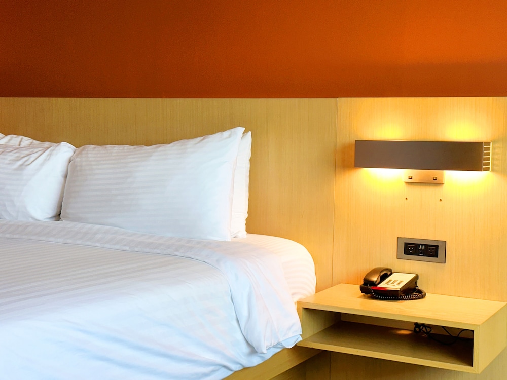 Single Room, Non Smoking - Photo 3