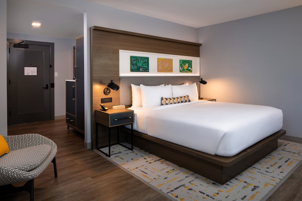 Standard Room, 1 King Bed, Roll-in Shower (Communications Accessible) - Photo 4