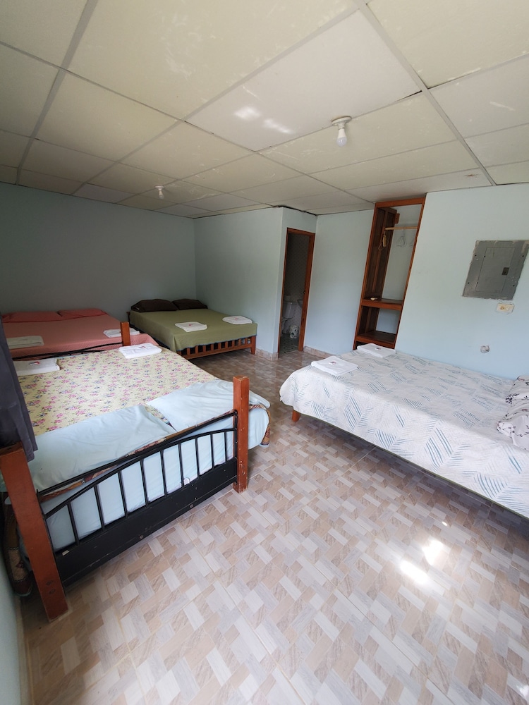 Basic Room photo 1