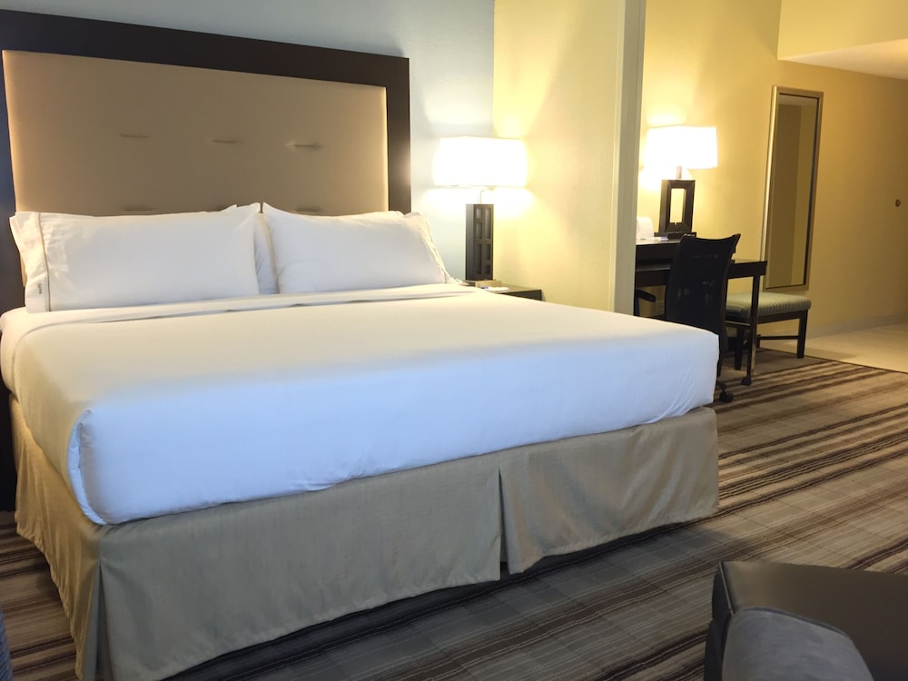 Suite, 1 King Bed with Sofa bed, Accessible (Mobility Tub) photo 2