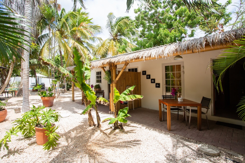 Basic Studio Suite (Casa Jardín Tropical 2)