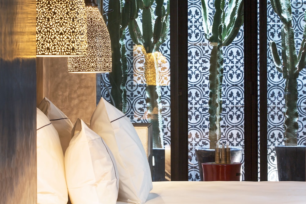 CACTUS SUITE