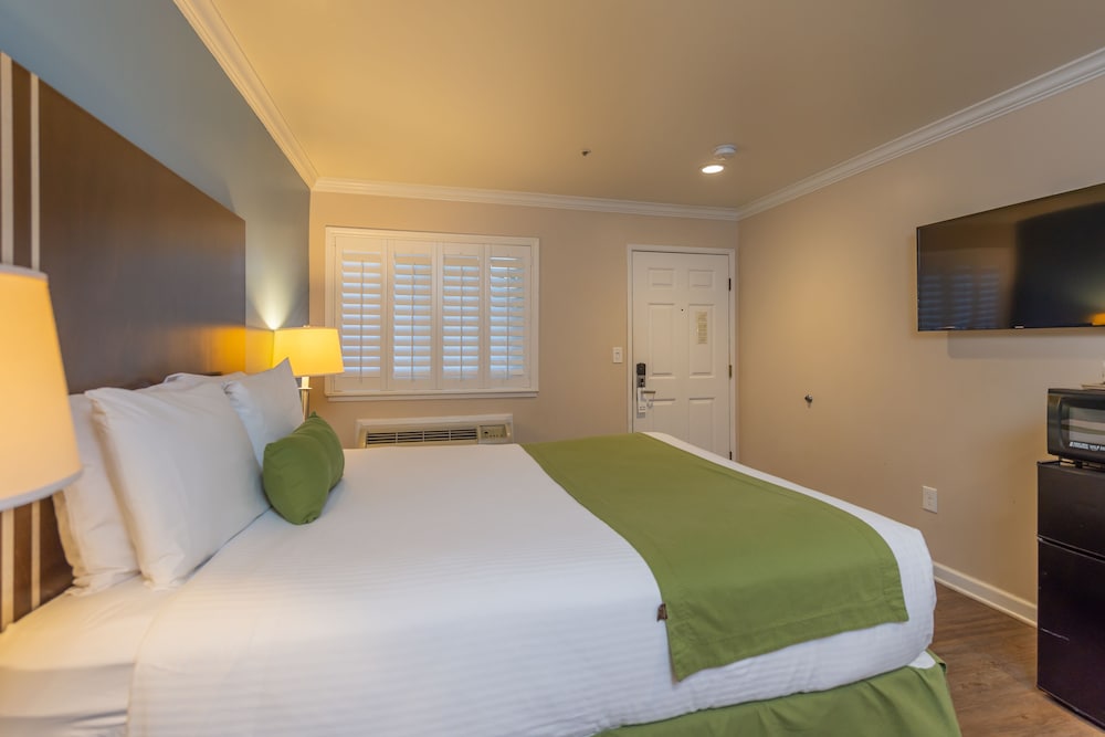 Room, 1 Queen Bed, Mobility Accessible - Photo 2