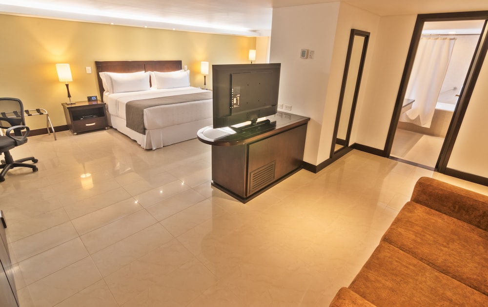 Suite, 1 King Bed (Suite Junior) - Photo 4