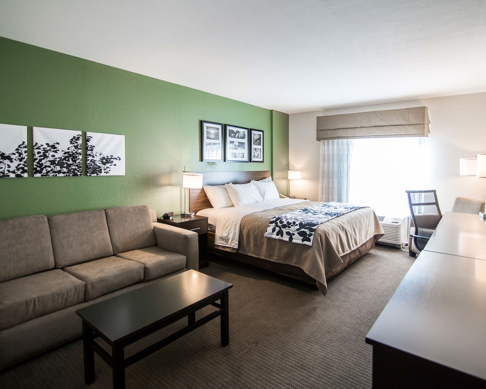 Suite, 1 King Bed with Sofa bed, Non Smoking photo 1