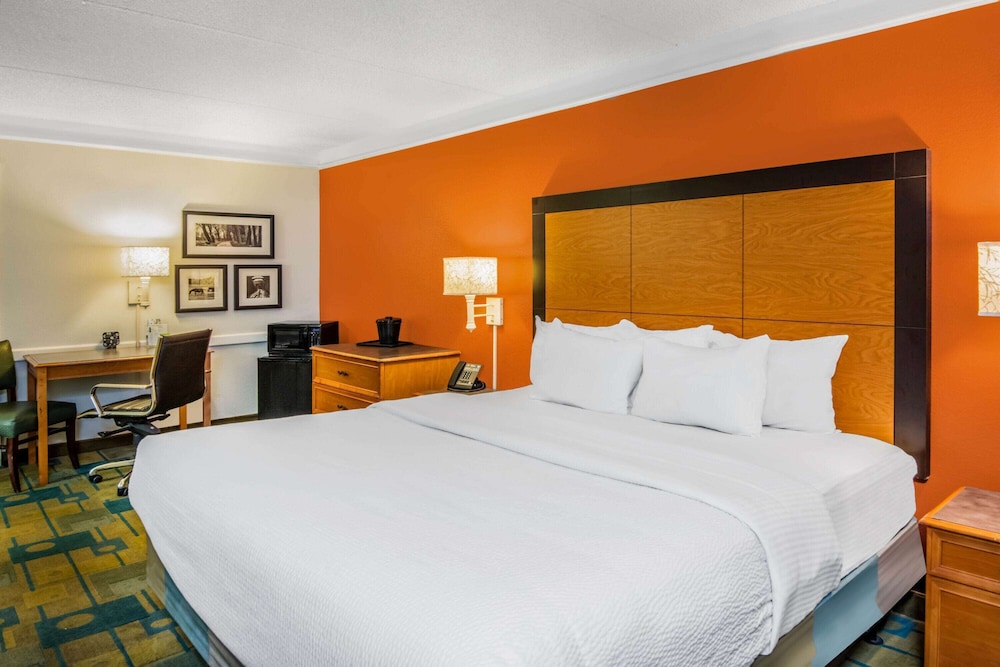 Room, 1 King Bed, Accessible, Non Smoking (Mobility Accessible) - Photo 1