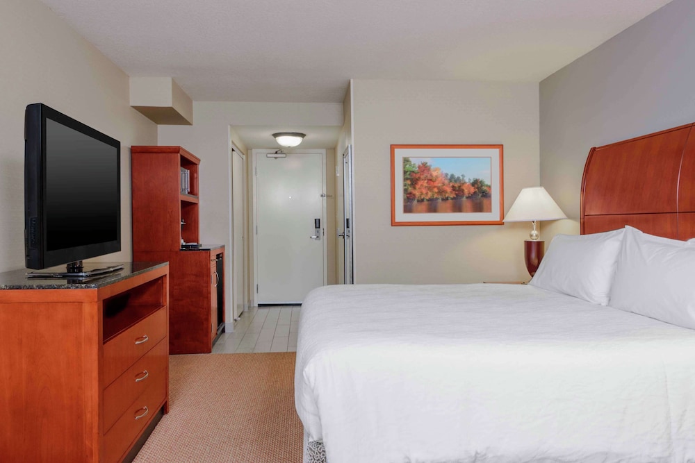 Room, 1 King Bed, Accessible (Mobility & Hearing, Roll-in Shower) - Photo 4