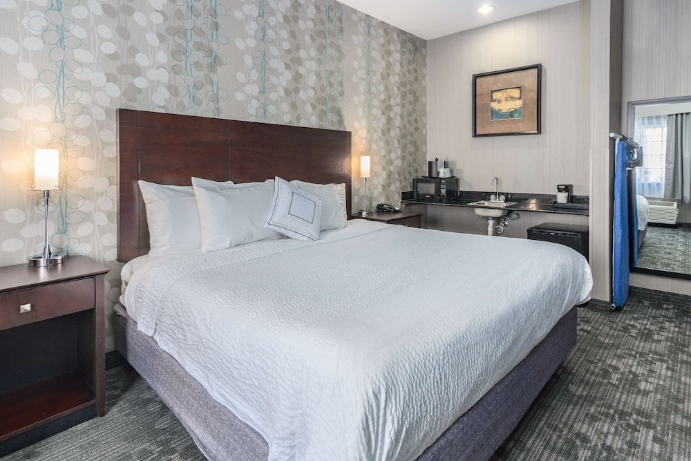 Standard Room, 1 King Bed, Accessible, Refrigerator & Microwave - Photo 3