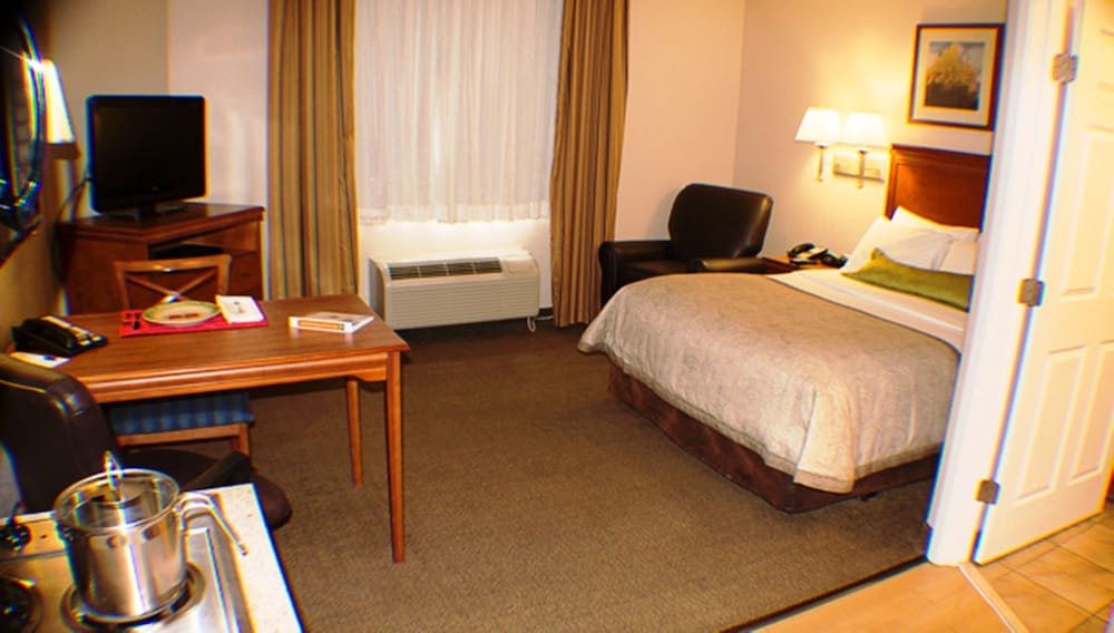 Studio Suite, 1 Queen Bed, Kitchen - Photo 8