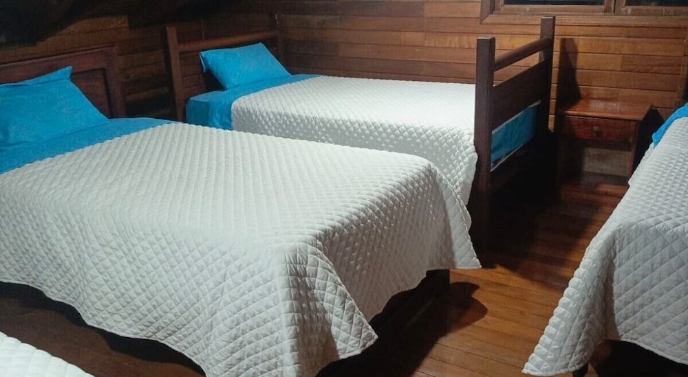 Classic Shared Dormitory photo 1