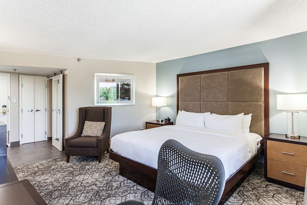 Deluxe room with king bed - Photo 7