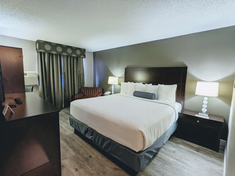 Standard Room, 1 King Bed, Non Smoking, Refrigerator & Microwave