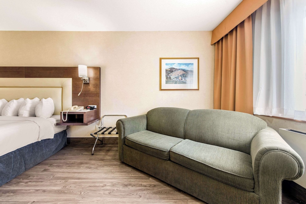 Business Room, 1 King Bed, Non Smoking - Photo 4