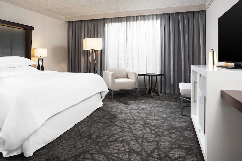 Club Room, 1 King Bed (Mobility Accessible, Roll-In Shower) photo 3