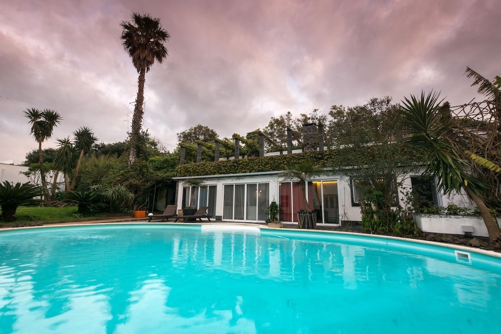Panoramic Suite, Kitchenette, Pool View photo 2