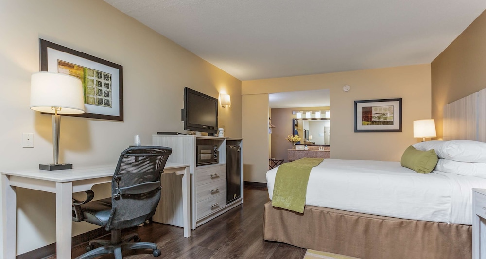 Standard Room, 1 King Bed, Non Smoking, Refrigerator & Microwave - Photo 1