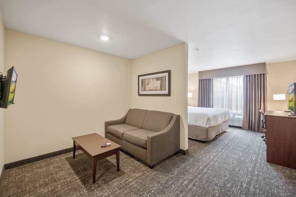 Studio Suite, 1 King Bed with Sofa bed, Non Smoking