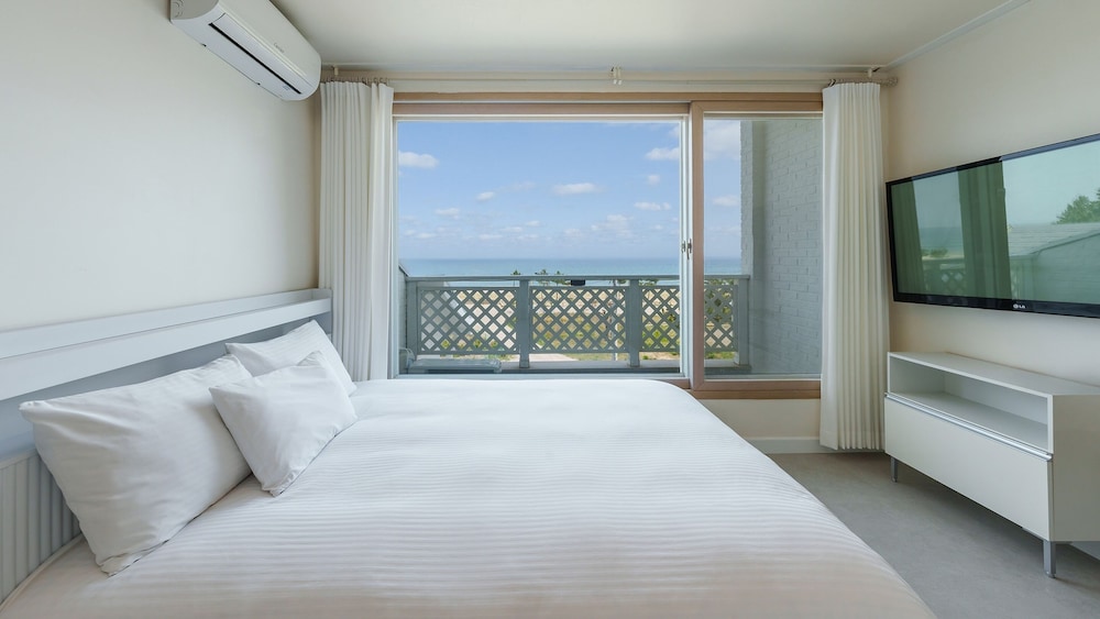 Basic Room, 1 Bedroom (302 (Ocean View / DOGS ONLY))
