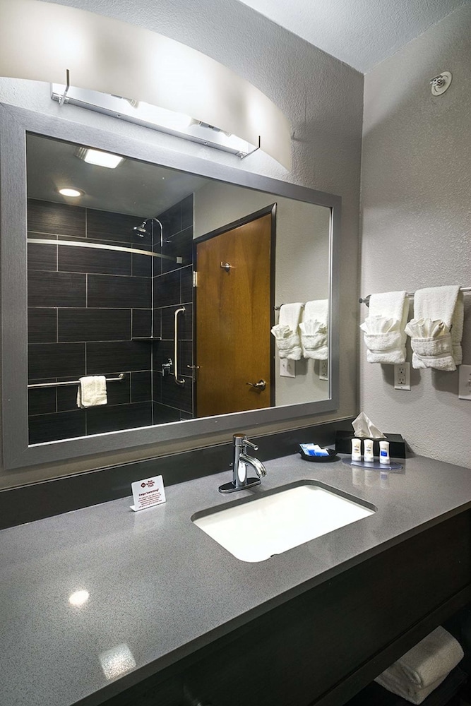 Suite, 1 King Bed, Non Smoking, Refrigerator & Microwave photo 2