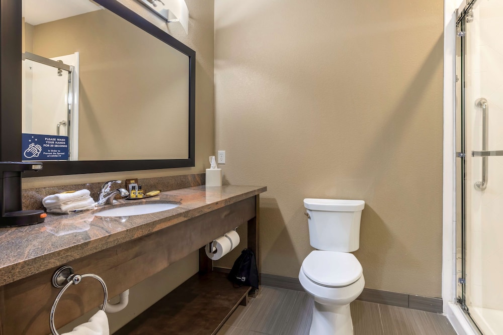 Suite, 1 King Bed, Non Smoking, Refrigerator & Microwave (with Sofabed)
