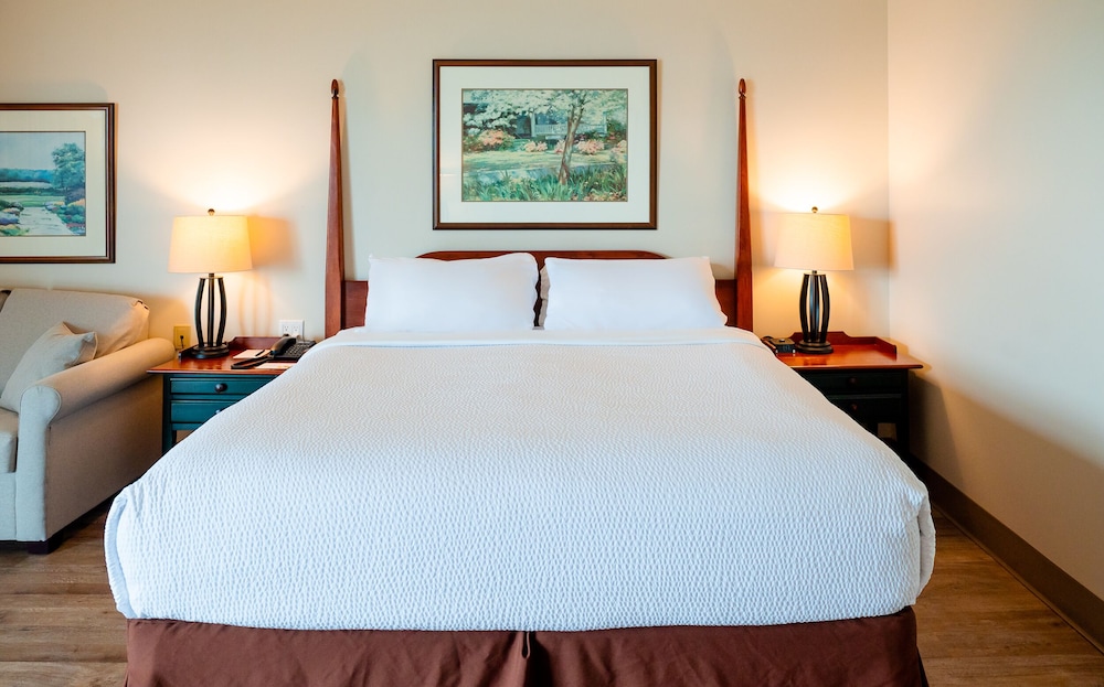 Standard Single Room, 1 King Bed with Sofa bed photo 3