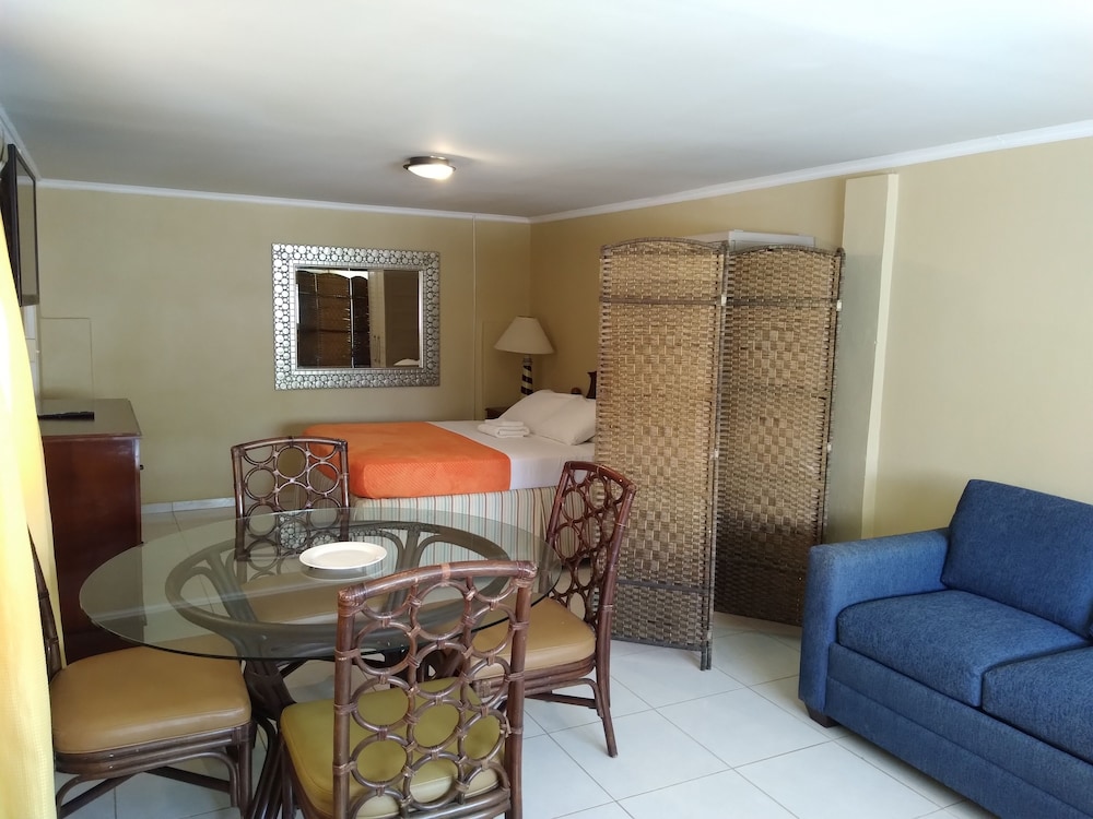 Junior Studio Suite, 1 Queen Bed with Sofa bed photo 1