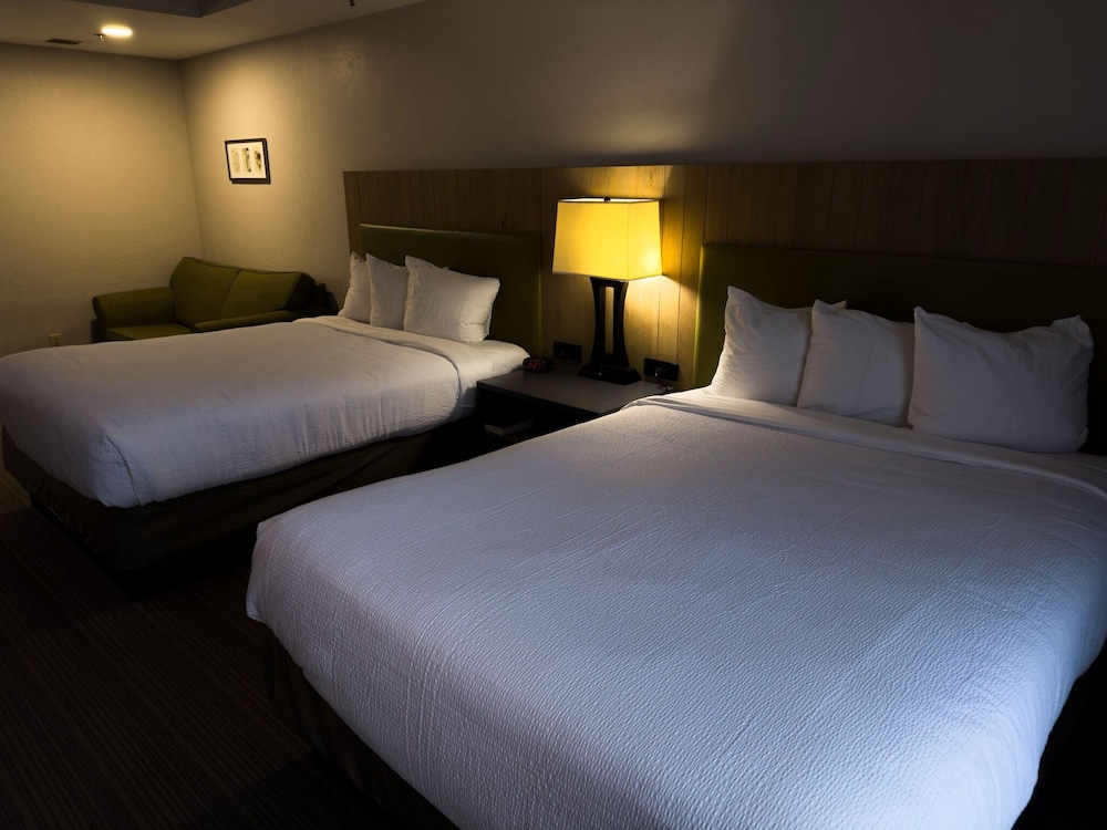 Deluxe Room photo 1