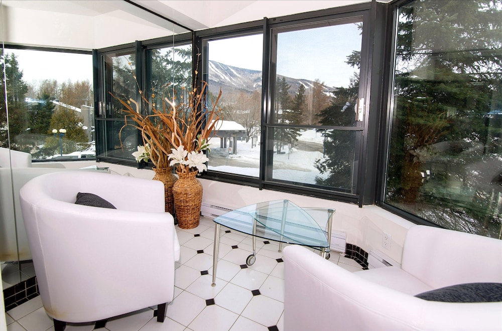 Panoramic Condo, 1 Bedroom, Mountain View (Condo Mont Sainte-Anne, 2017) photo 2