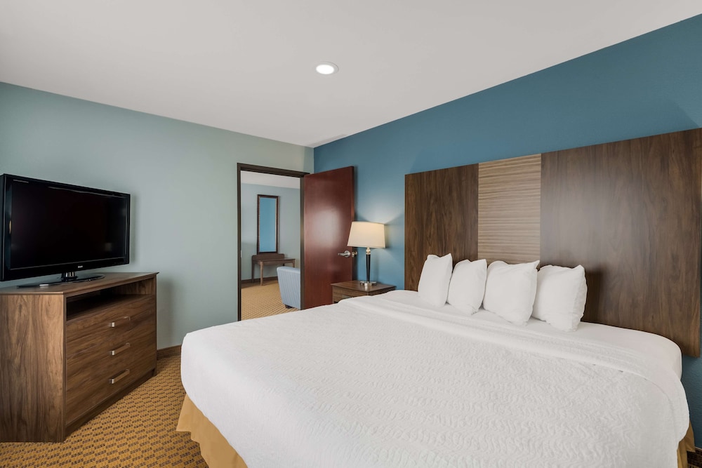 Executive Suite, 1 King Bed, Non Smoking, Refrigerator & Microwave (with Sofabed)