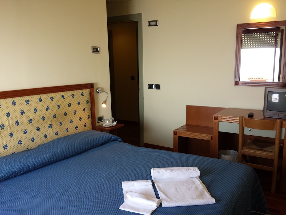 Single Room photo 1