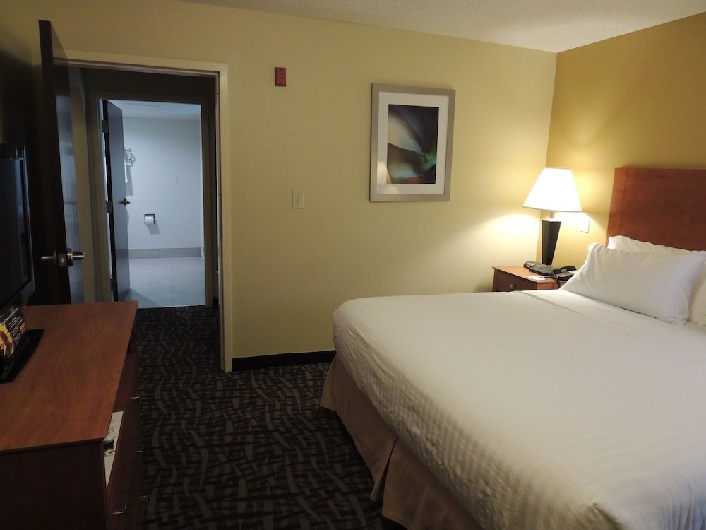 Suite, 1 Bedroom (Atrium View) photo 1