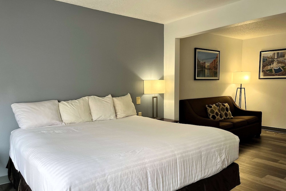 Room, 1 King Bed with Sofa bed photo 1
