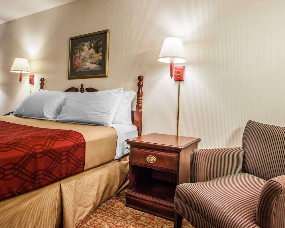 Standard Room, 1 King Bed, Non Smoking - Photo 4