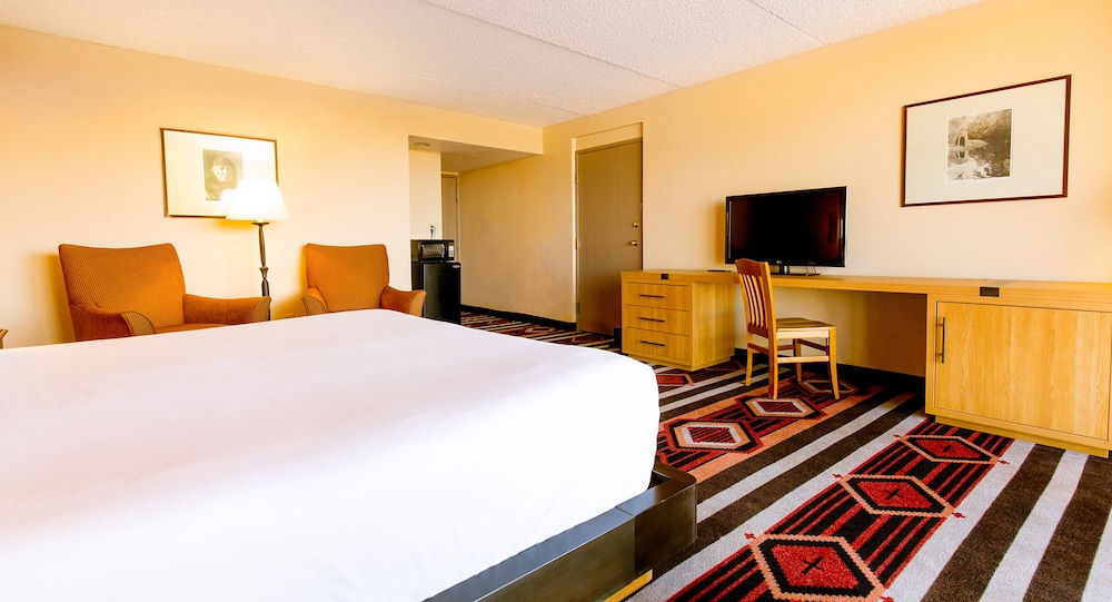 Room, 1 King Bed, Mountain View - Photo 3