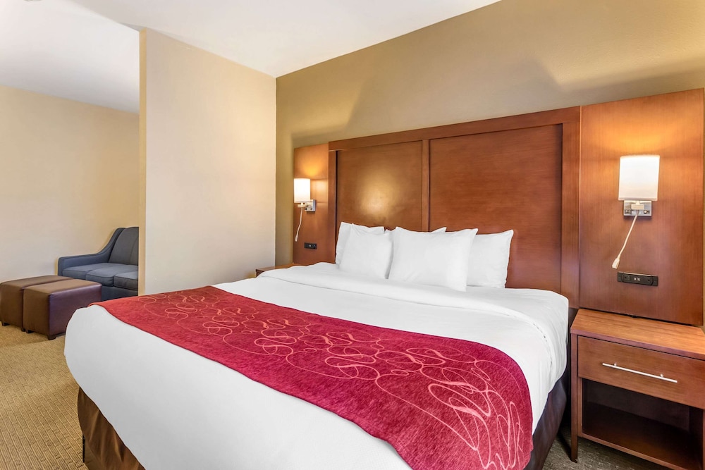 Suite, 1 King Bed with Sofa bed, Accessible, Non Smoking - Photo 10