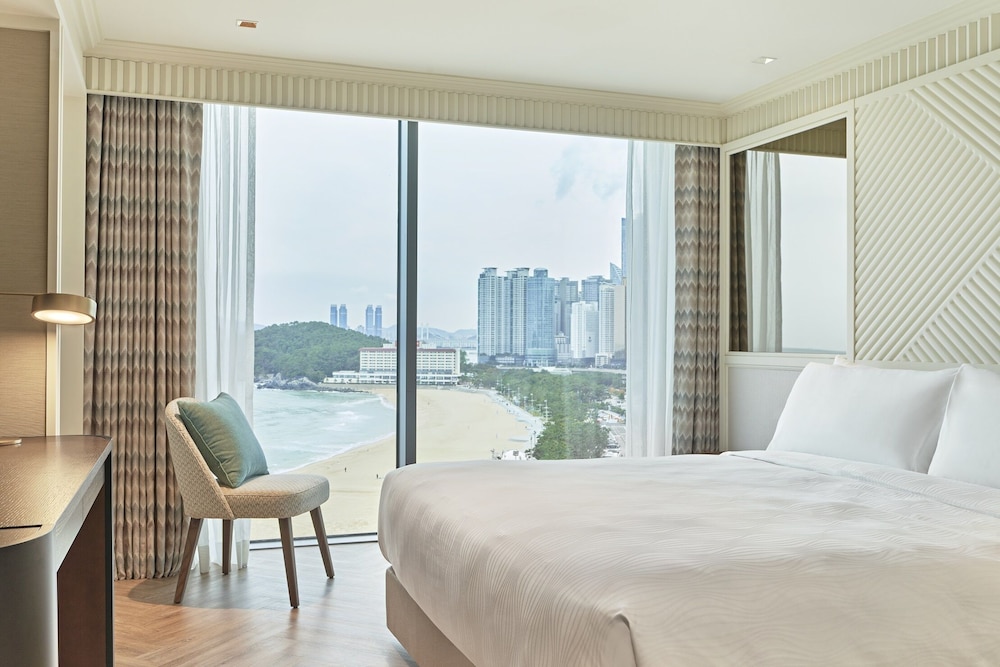 Executive Suite photo 2